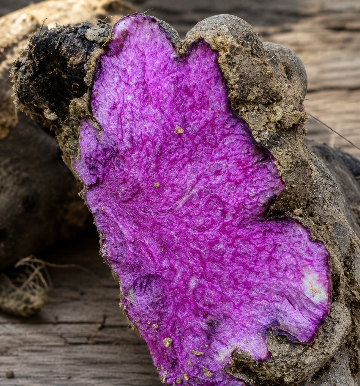 Dioscorea alata tuber, halved to reveal violet flesh